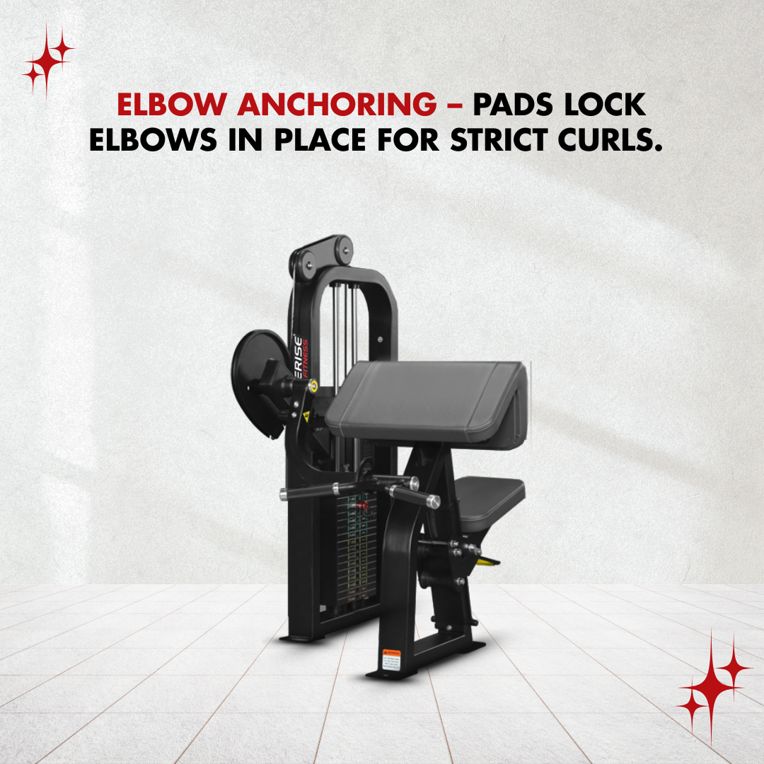 Bicep Curl - Image 2