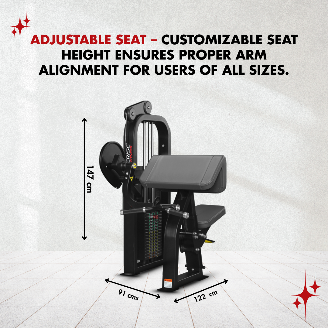 Bicep Curl - Image 3