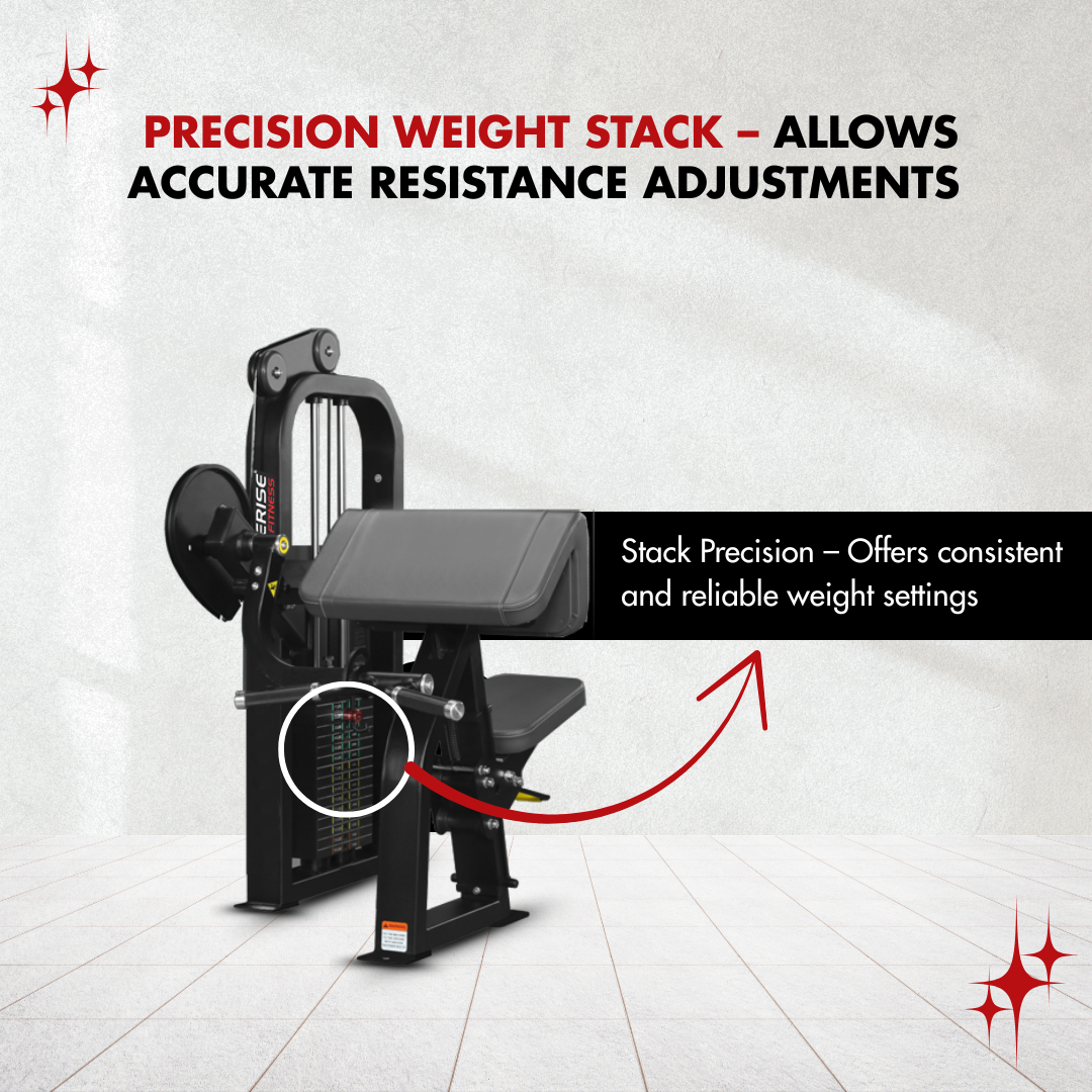 Bicep Curl - Image 4
