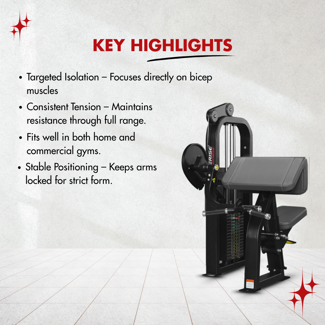 Bicep Curl - Image 5