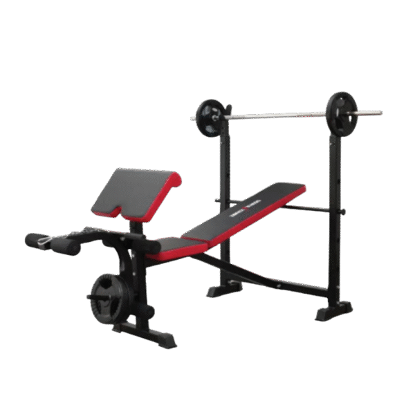 Multi Bench leg Extension / Leg Curl / Preacher