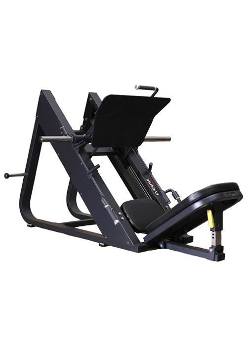 Leg Press 45 Degree