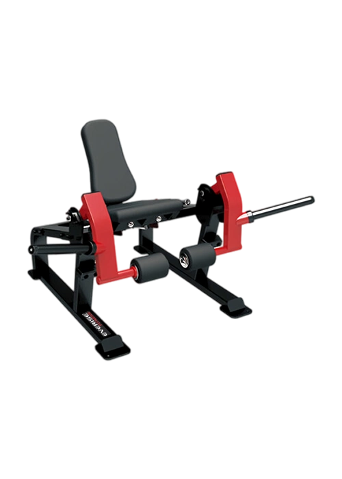 Leg Extension