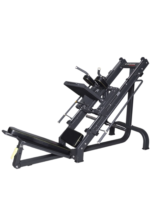 Leg Press / Hack Squat