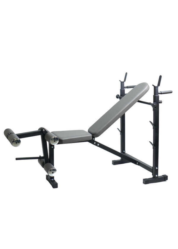 Multi Bench leg Extension / Leg Curl