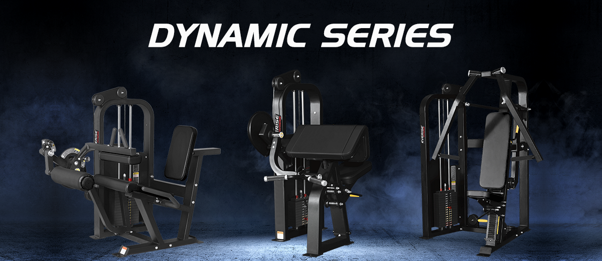 Dynamic (1)